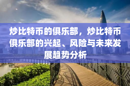 炒比特币的俱乐部，炒比特币俱乐部的兴起、风险与未来发展趋势分析