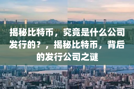 揭秘比特币，究竟是什么公司发行的？，揭秘比特币，背后的发行公司之谜