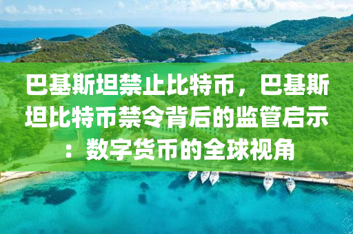 巴基斯坦禁止比特币，巴基斯坦比特币禁令背后的监管启示：数字货币的全球视角