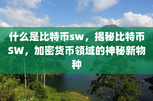 什么是比特币sw，揭秘比特币SW，加密货币领域的神秘新物种