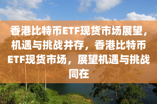 香港比特币ETF现货市场展望，机遇与挑战并存，香港比特币ETF现货市场，展望机遇与挑战同在