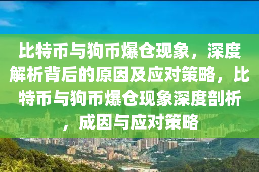 比特币与狗币爆仓现象，深度解析背后的原因及应对策略，比特币与狗币爆仓现象深度剖析，成因与应对策略