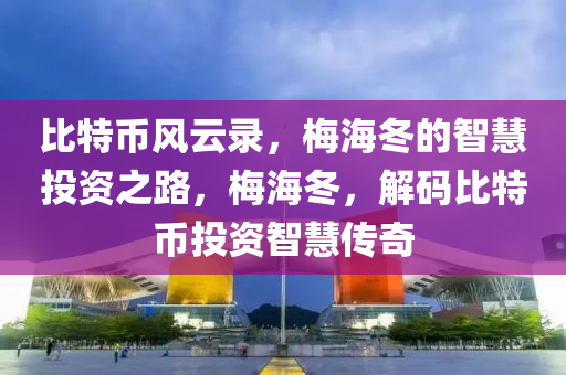 比特币风云录，梅海冬的智慧投资之路，梅海冬，解码比特币投资智慧传奇