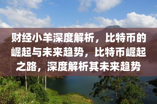 财经小羊深度解析，比特币的崛起与未来趋势，比特币崛起之路，深度解析其未来趋势