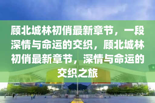 顾北城林初俏最新章节，一段深情与命运的交织，顾北城林初俏最新章节，深情与命运的交织之旅