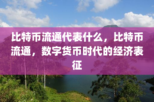 比特币流通代表什么，比特币流通，数字货币时代的经济表征