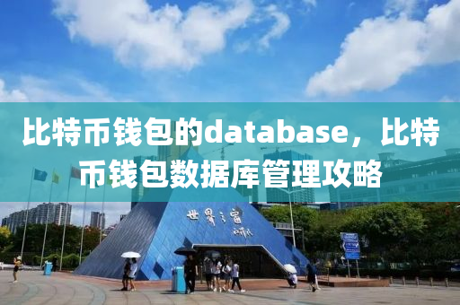 比特币钱包的database，比特币钱包数据库管理攻略