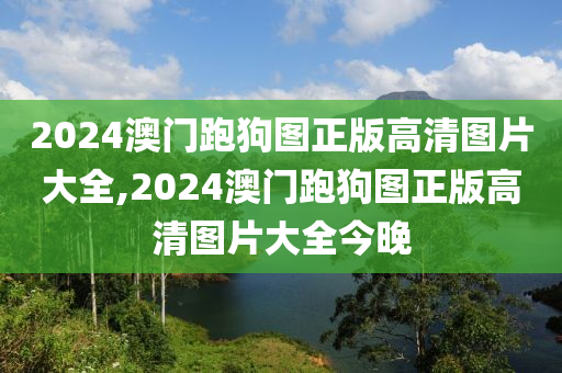 2024澳门跑狗图正版高清图片大全,2024澳门跑狗图正版高清图片大全今晚