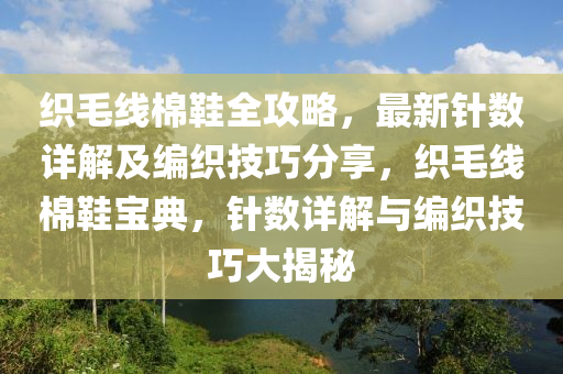 织毛线棉鞋全攻略，最新针数详解及编织技巧分享，织毛线棉鞋宝典，针数详解与编织技巧大揭秘