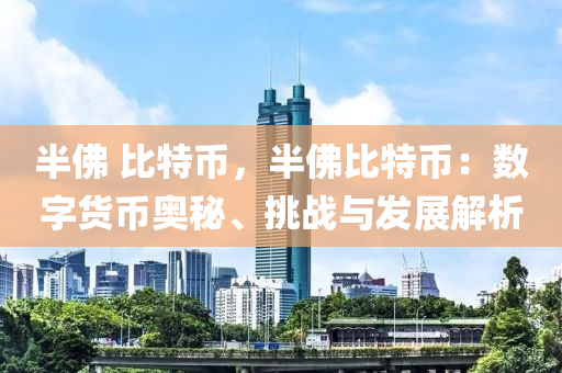 半佛 比特币，半佛比特币：数字货币奥秘、挑战与发展解析