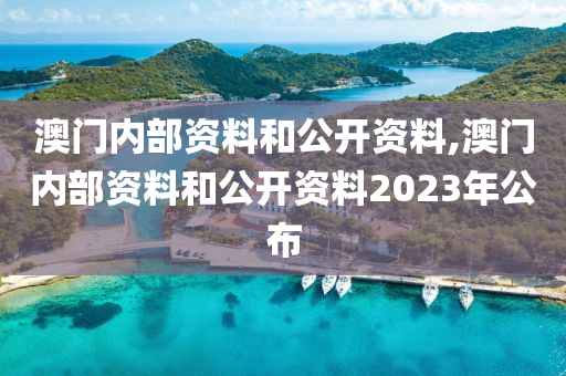 澳门内部资料和公开资料,澳门内部资料和公开资料2023年公布