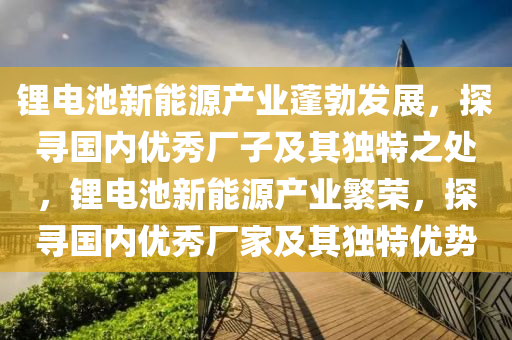 锂电池新能源产业蓬勃发展，探寻国内优秀厂子及其独特之处，锂电池新能源产业繁荣，探寻国内优秀厂家及其独特优势