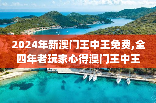 2024年新澳门王中王免费,全四年老玩家心得澳门王中王