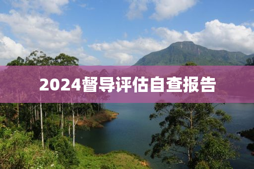 2024督导评估自查报告