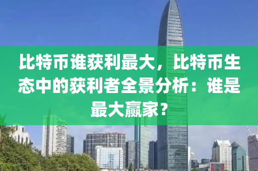 比特币谁获利最大，比特币生态中的获利者全景分析：谁是最大赢家？