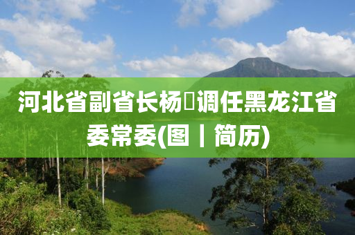 河北省副省长杨汭调任黑龙江省委常委(图｜简历)