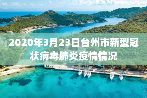 2020年3月23日台州市新型冠状病毒肺炎疫情情况