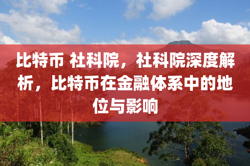 比特币 社科院，社科院深度解析，比特币在金融体系中的地位与影响