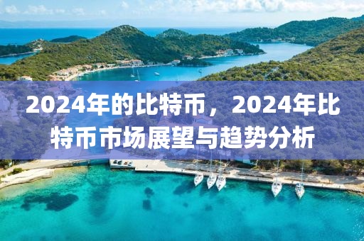 2024年的比特币，2024年比特币市场展望与趋势分析