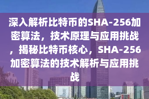 深入解析比特币的SHA-256加密算法，技术原理与应用挑战，揭秘比特币核心，SHA-256加密算法的技术解析与应用挑战