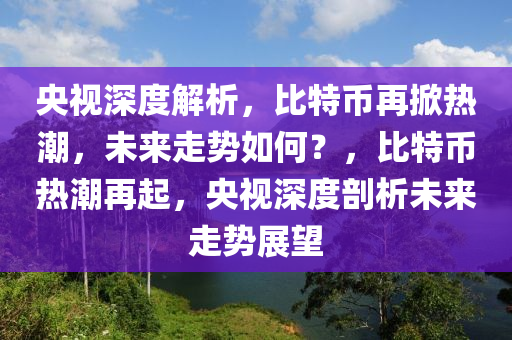 央视深度解析，比特币再掀热潮，未来走势如何？，比特币热潮再起，央视深度剖析未来走势展望