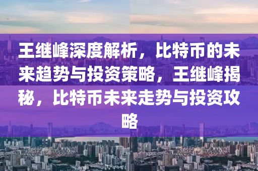 王继峰深度解析，比特币的未来趋势与投资策略，王继峰揭秘，比特币未来走势与投资攻略