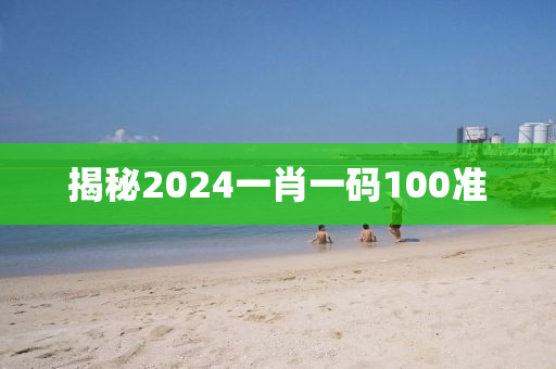 揭秘2024一肖一码100准