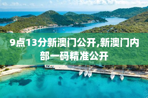 9点13分新澳门公开,新澳门内部一码精准公开