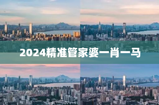 2024精准管家婆一肖一马