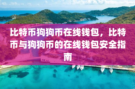 比特币狗狗币在线钱包，比特币与狗狗币的在线钱包安全指南