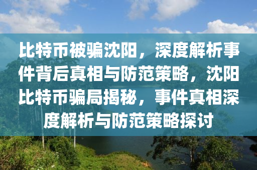 比特币被骗沈阳，深度解析事件背后真相与防范策略，沈阳比特币骗局揭秘，事件真相深度解析与防范策略探讨