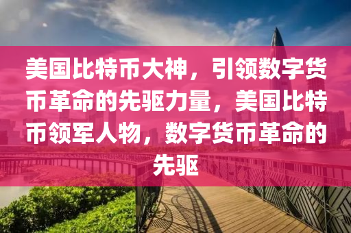 美国比特币大神，引领数字货币革命的先驱力量，美国比特币领军人物，数字货币革命的先驱