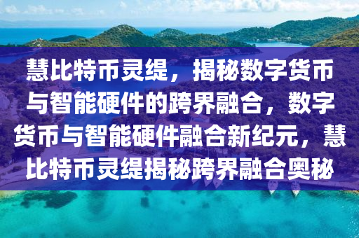 慧比特币灵缇，揭秘数字货币与智能硬件的跨界融合，数字货币与智能硬件融合新纪元，慧比特币灵缇揭秘跨界融合奥秘