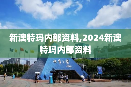 新澳特玛内部资料,2024新澳特玛内部资料