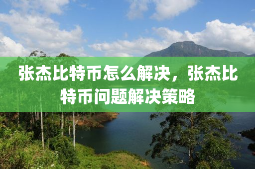 张杰比特币怎么解决，张杰比特币问题解决策略