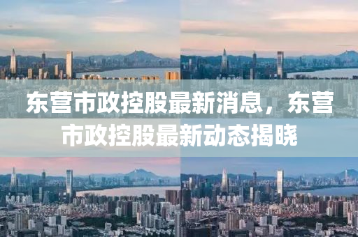 东营市政控股最新消息，东营市政控股最新动态揭晓