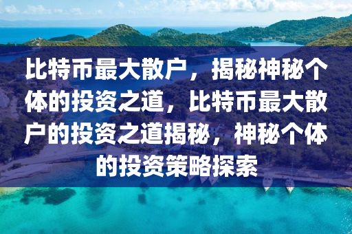 比特币最大散户，揭秘神秘个体的投资之道，比特币最大散户的投资之道揭秘，神秘个体的投资策略探索