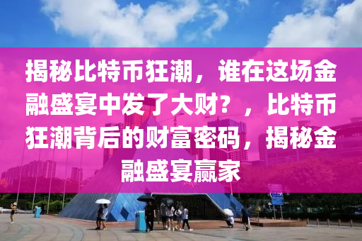 揭秘比特币狂潮，谁在这场金融盛宴中发了大财？，比特币狂潮背后的财富密码，揭秘金融盛宴赢家