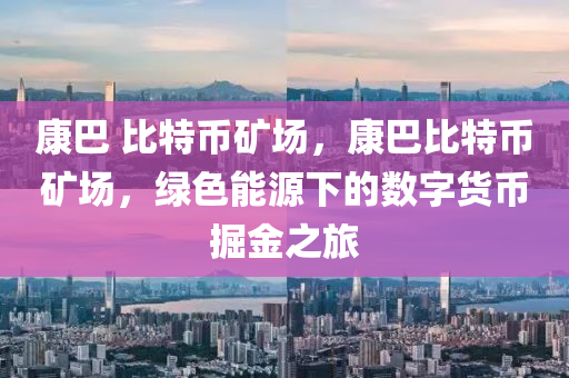 康巴 比特币矿场，康巴比特币矿场，绿色能源下的数字货币掘金之旅