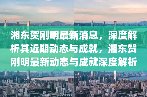 湘东贺刚明最新消息，深度解析其近期动态与成就，湘东贺刚明最新动态与成就深度解析