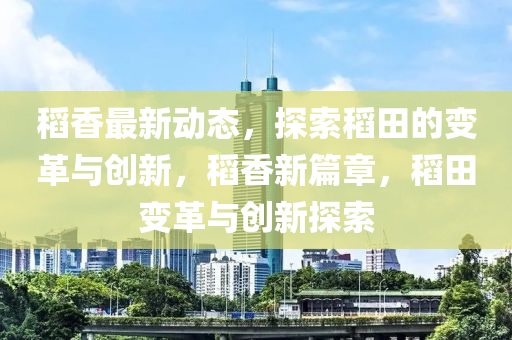 稻香最新动态，探索稻田的变革与创新，稻香新篇章，稻田变革与创新探索