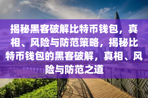 揭秘黑客破解比特币钱包，真相、风险与防范策略，揭秘比特币钱包的黑客破解，真相、风险与防范之道