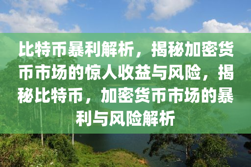 比特币暴利解析，揭秘加密货币市场的惊人收益与风险，揭秘比特币，加密货币市场的暴利与风险解析