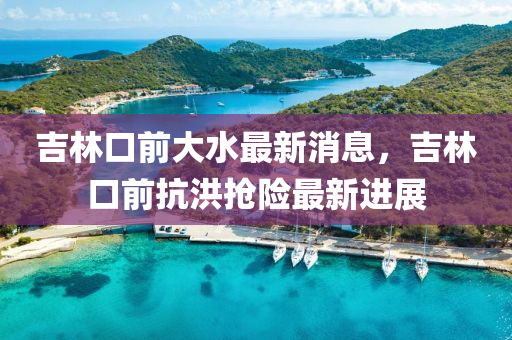 吉林口前大水最新消息，吉林口前抗洪抢险最新进展