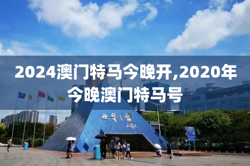 2024澳门特马今晚开