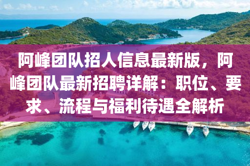 阿峰团队招人信息最新版，阿峰团队最新招聘详解：职位、要求、流程与福利待遇全解析