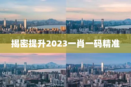 揭密提升2023一肖一码精准