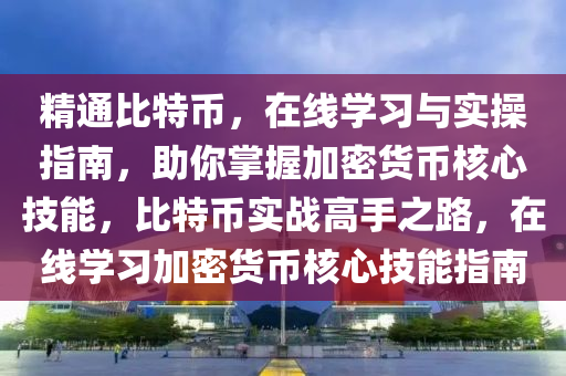 精通比特币，在线学习与实操指南，助你掌握加密货币核心技能，比特币实战高手之路，在线学习加密货币核心技能指南