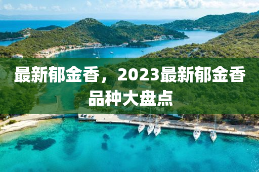 最新郁金香，2023最新郁金香品种大盘点