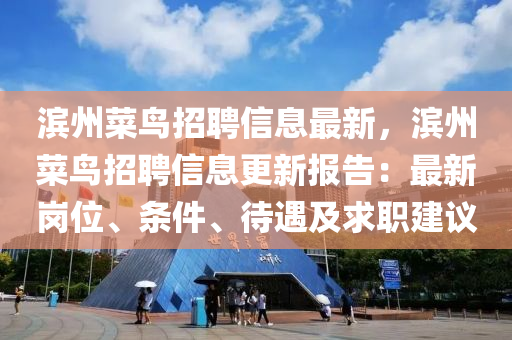 滨州菜鸟招聘信息最新，滨州菜鸟招聘信息更新报告：最新岗位、条件、待遇及求职建议